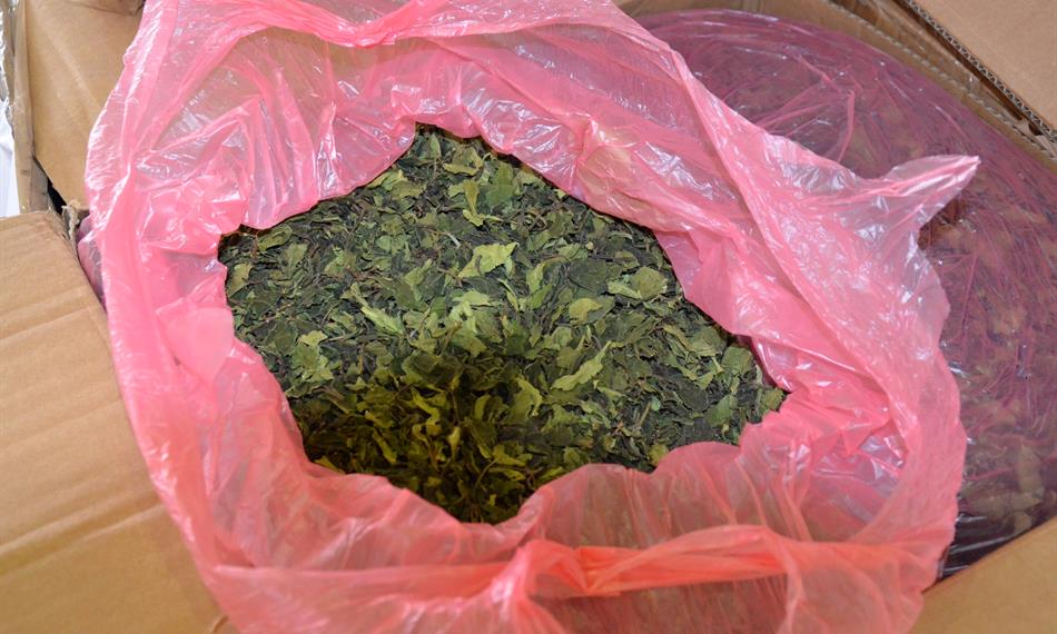 2019-1-21-739foto 2.jpg